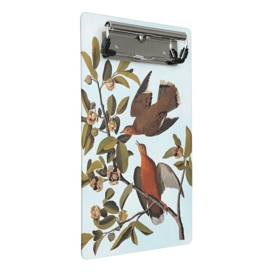 Audubon Zenaida Duif met bloemen Mini Klembord (Schuin)