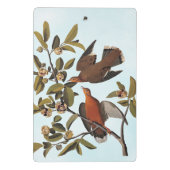 Audubon Zenaida Duif met bloemen Mini Klembord (Achterkant)
