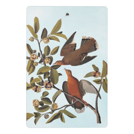 Audubon Zenaida Duif met bloemen Mini Klembord (Achterkant)