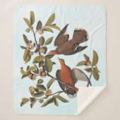 Audubon Zenaida Duif met bloemen Sherpa Deken (Voorkant)