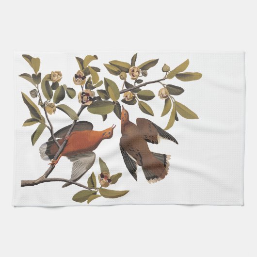 Audubon Zenaida Duif met bloemen Theedoek (Horizontaal)