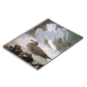 Audubon: Zilvermeeuw Notitieboek (Linkerzijde)