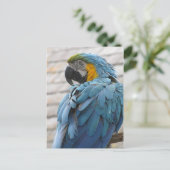 Audubon Zoo Briefkaart (Staand voorkant)