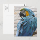 Audubon Zoo Briefkaart (Voorkant / Achterkant)