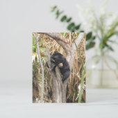 Audubon Zoo Briefkaart (Staand voorkant)