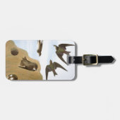 Audubon: Zwaluwen Bagagelabel (Voorkant horizontaal)