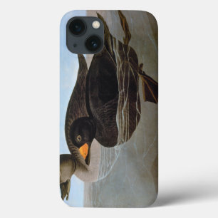 Audubon: Zwarte Zeeëend Case-Mate iPhone Case