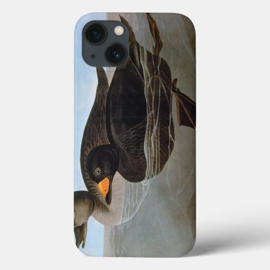 Audubon: Zwarte Zeeëend Case-Mate iPhone Case (Achterkant)