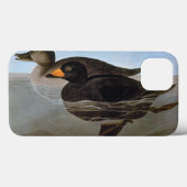 Audubon: Zwarte Zeeëend Case-Mate iPhone Case (Achterkant (horizontaal))