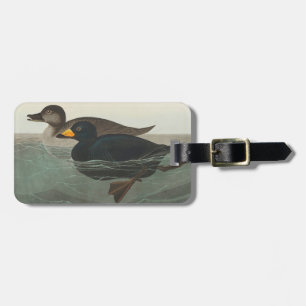 Audubon Zwarte Zwartkop Print: Vintage Kust Eend Bagagelabel