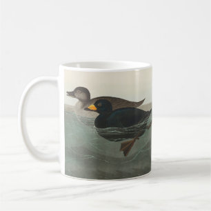 Audubon Zwarte Zwartkop Print: Vintage Kust Eend Koffiemok