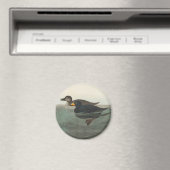 Audubon Zwarte Zwartkop Print: Vintage Kust Eend Magneet (Insitu (Vaatwasser))