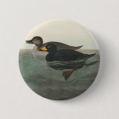 Audubon Zwarte Zwartkop Print: Vintage Kust Eend Ronde Button 5,7 Cm (Voorkant)
