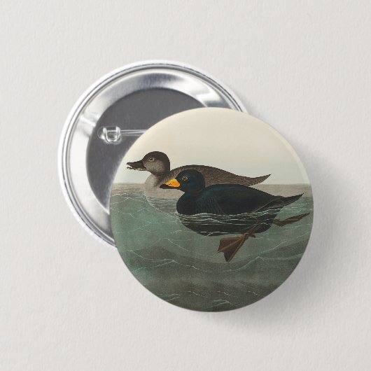 Audubon Zwarte Zwartkop Print: Vintage Kust Eend Ronde Button 5,7 Cm (Voorkant /achterkant)