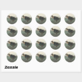 Audubon Zwarte Zwartkop Print: Vintage Kust Eend Ronde Sticker (Vel)