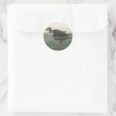 Audubon Zwarte Zwartkop Print: Vintage Kust Eend Ronde Sticker (Tas)