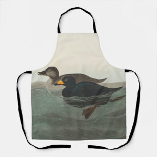 Audubon Zwarte Zwartkop Print: Vintage Kust Eend Schort
