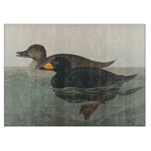 Audubon Zwarte Zwartkop Print: Vintage Kust Eend Snijplank
