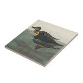 Audubon Zwarte Zwartkop Print: Vintage Kust Eend Tegeltje (Zijkant)