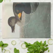 Audubon Zwarte Zwartkop Print: Vintage Kust Eend Theedoek (Gevouwen)
