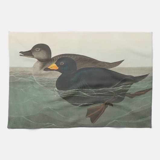 Audubon Zwarte Zwartkop Print: Vintage Kust Eend Theedoek (Horizontaal)