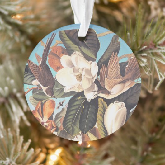 Audubon zwartgefactureerde koekoekjesvogels ornament (Boom)