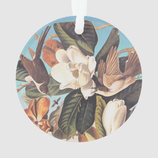 Audubon zwartgefactureerde koekoekjesvogels ornament (achterkant)