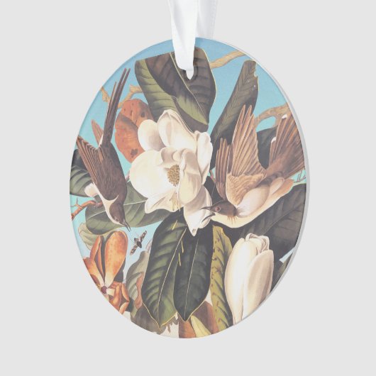 Audubon zwartgefactureerde koekoekjesvogels ornament (voorkant)