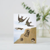 Audubon: Zweden Briefkaart (Staand voorkant)