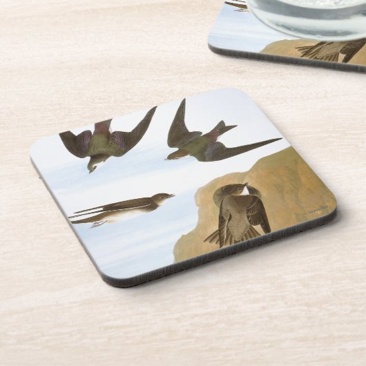 Audubon: Zwemelen Bier Onderzetter (Linkerzijde)