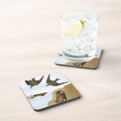 Audubon: Zwemelen Bier Onderzetter (Rechterzijde)