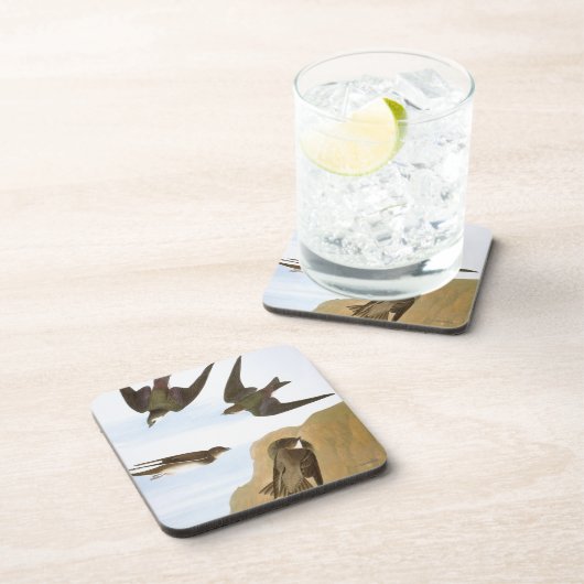 Audubon: Zwemelen Bier Onderzetter (Rechterzijde)