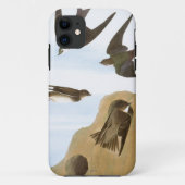 Audubon: Zwemelen Case-Mate iPhone Case (Achterkant)
