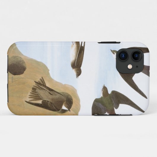 Audubon: Zwemelen Case-Mate iPhone Case (Achterkant (horizontaal))