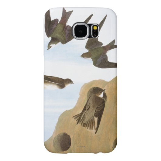 Audubon: Zwemelen Case-Mate Samsung Galaxy Hoesje (Achterkant)