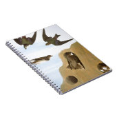 Audubon: Zwemelen Notitieboek (Rechterzijde)