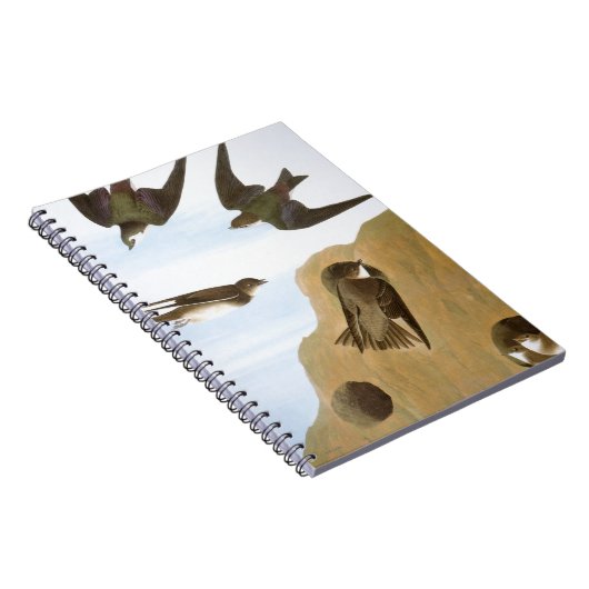 Audubon: Zwemelen Notitieboek (Rechterzijde)