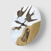 Audubon: Zwemelen Ronde Klok (Hoek)