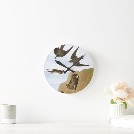 Audubon: Zwemelen Ronde Klok (Huis)