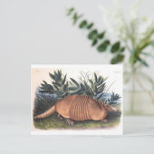 Audubon's Armadillo Briefkaart (Staand voorkant)