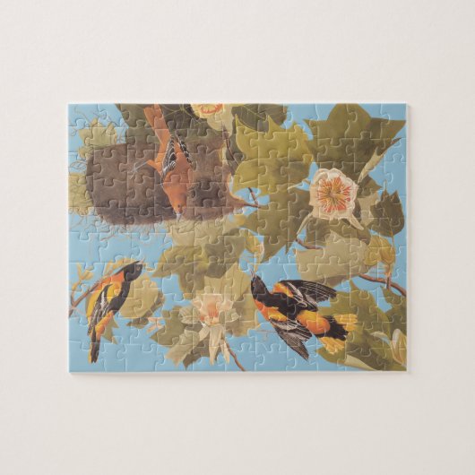 Audubon's Baltimore Oriole Trio Legpuzzel (Horizontaal)