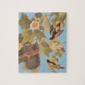 Audubon's Baltimore Oriole Trio Legpuzzel (Verticaal)