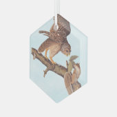 Audubon's Barred Owl and Squirrel Odd Friends Glas Ornament (Voorkant links)