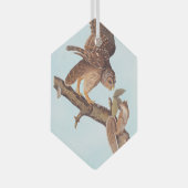 Audubon's Barred Owl and Squirrel Odd Friends Glas Ornament (Voorkant Rechts)