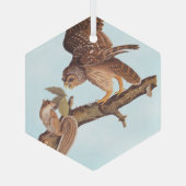 Audubon's Barred Owl and Squirrel Odd Friends Glas Ornament (Achterkant)