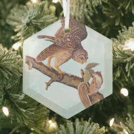 Audubon's Barred Owl and Squirrel Odd Friends Glas Ornament