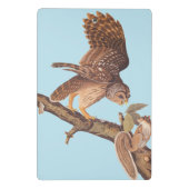 Audubon's Barred Owl and Squirrel Odd Friends Mini Klembord (Achterkant)