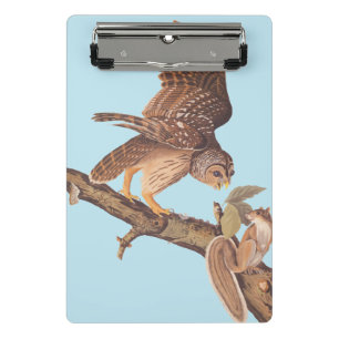 Audubon's Barred Owl and Squirrel Odd Friends Mini Klembord