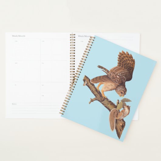 Audubon's Barred Owl and Squirrel Odd Friends Planner (Display)