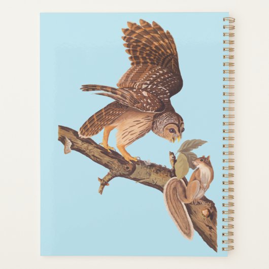 Audubon's Barred Owl and Squirrel Odd Friends Planner (Achterkant)